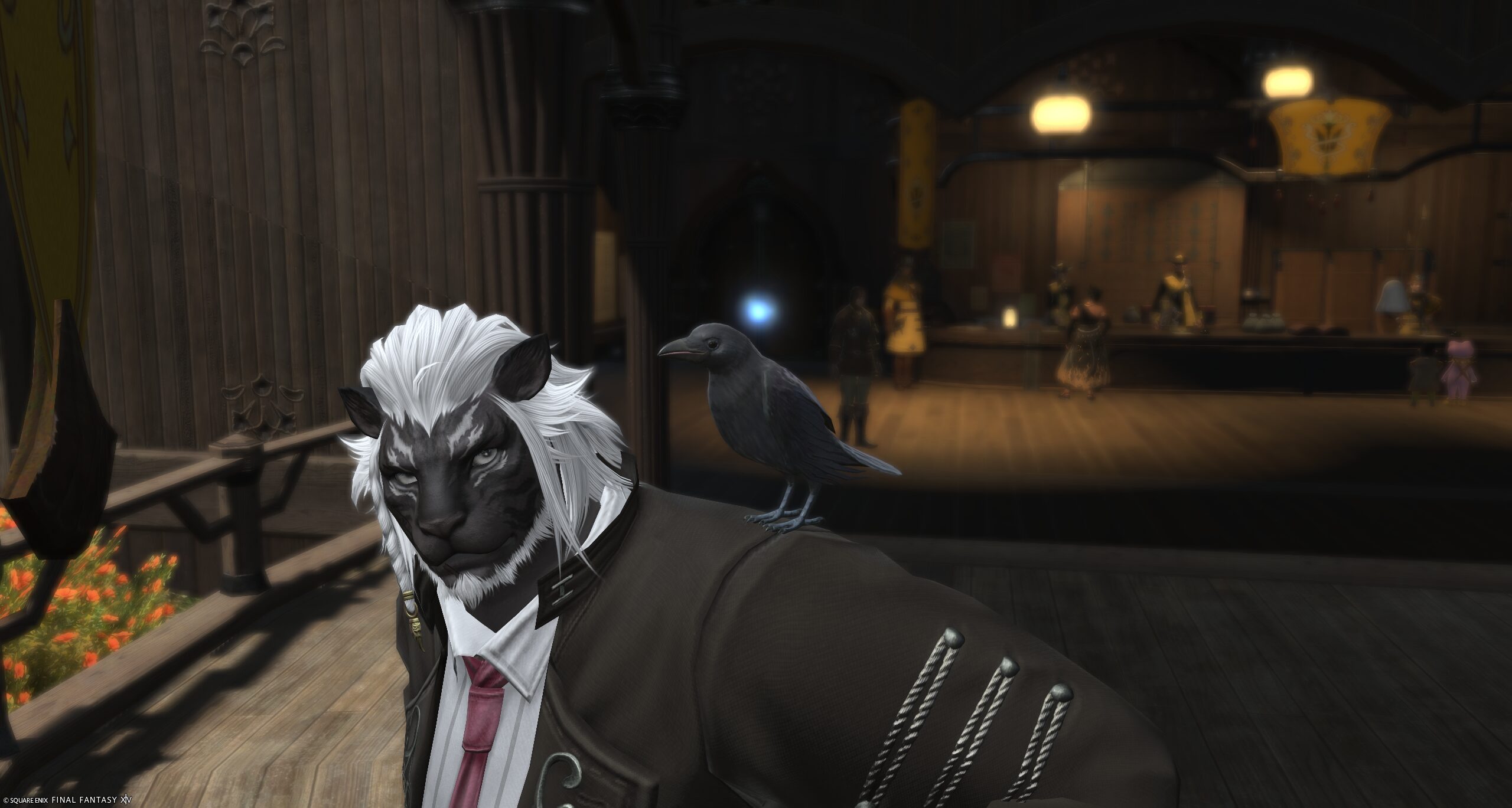 ザミオクルカス